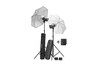 Elinchrom D-Lite RX 2/4 To Go