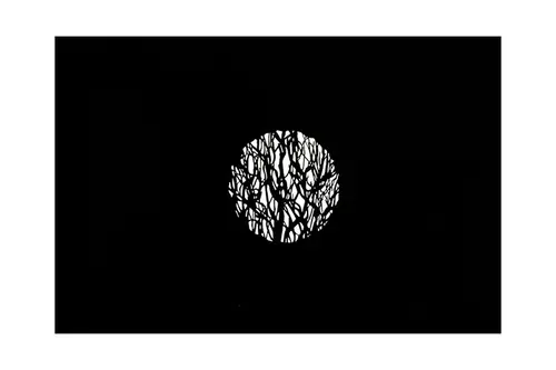 Nanlite FM Mount Projecti Att Gobo Set 2