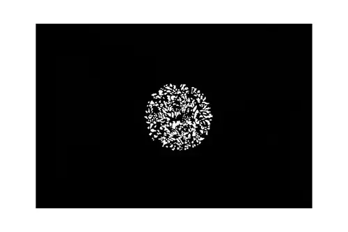 Nanlite FM Mount Projecti Att Gobo Set 2