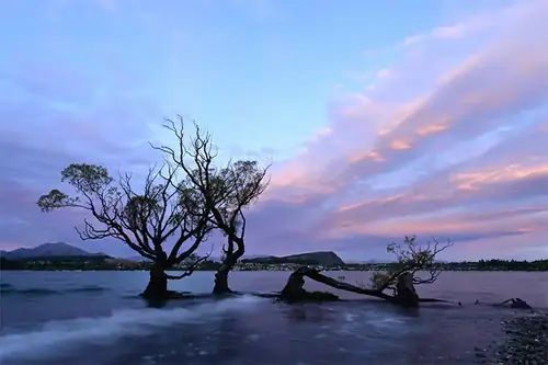 Nikon NIKKOR Z DX 12-28mm f/3.5-5.6 PZ VR