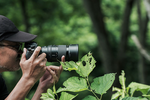 Sony FE 100mm f/2.8 Macro GM OSS