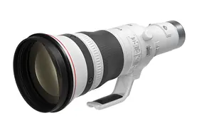 Canon RF 800mm 5.6 L IS USM