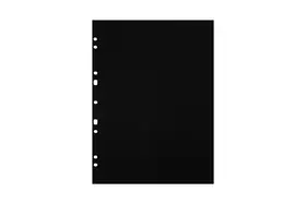 Focus Fotokartong Ringbinder A4 Svart
