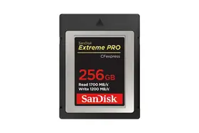 Sandisk Cfexpress Extreme PRO 256GB