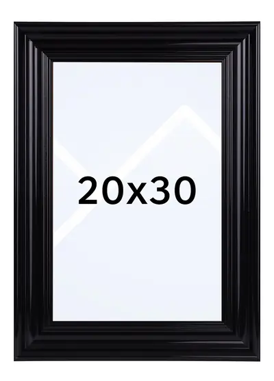 20x30