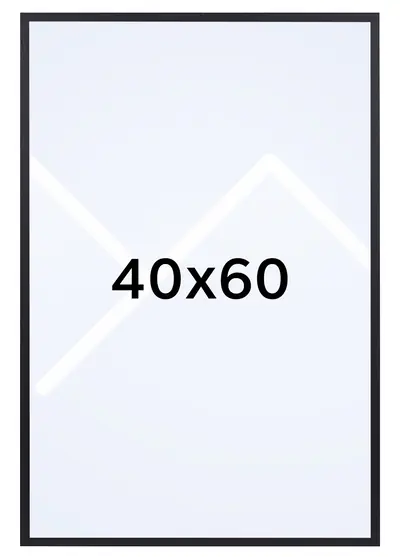 40x60