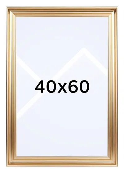 40x60