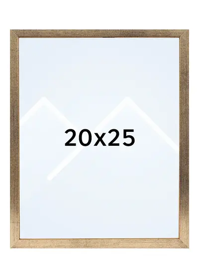 20x25