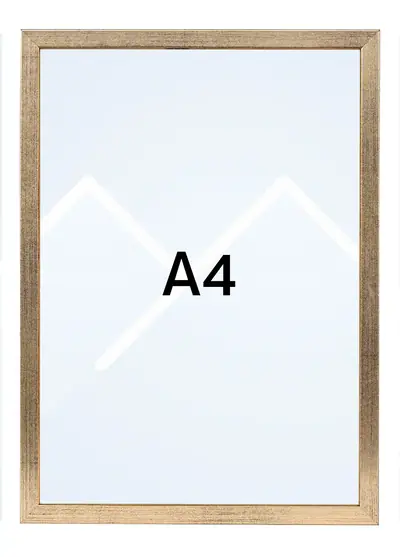 21x29.7 (A4)