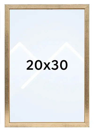 20x30