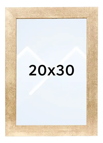 20x30