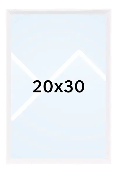 20x30