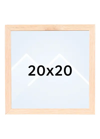 20x20