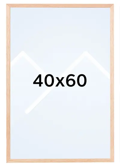 40x60