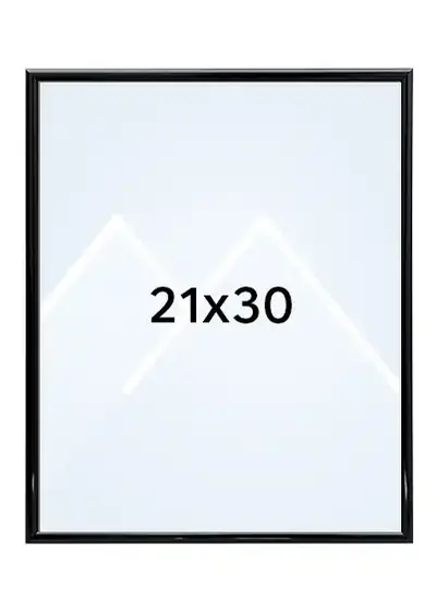 21x30