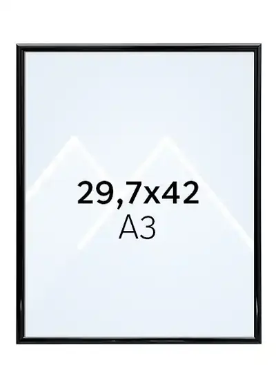 29.7x42 (A3)