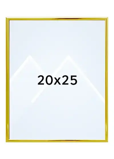 20x25