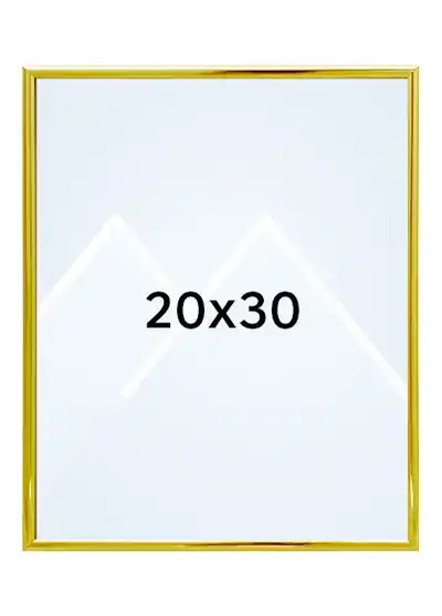 20x30