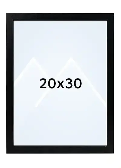 20x30