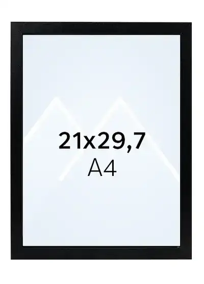21x29.7 (A4)