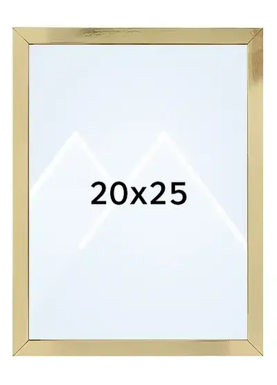 20x25