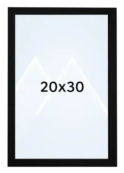 20x30