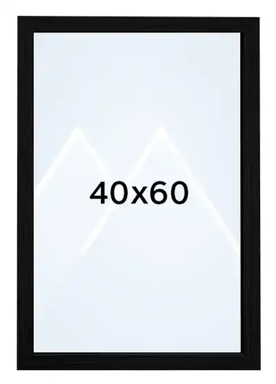 40x60