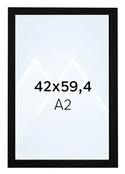 42x59.4 (A2)