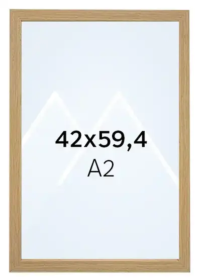 42x59.4 (A2)