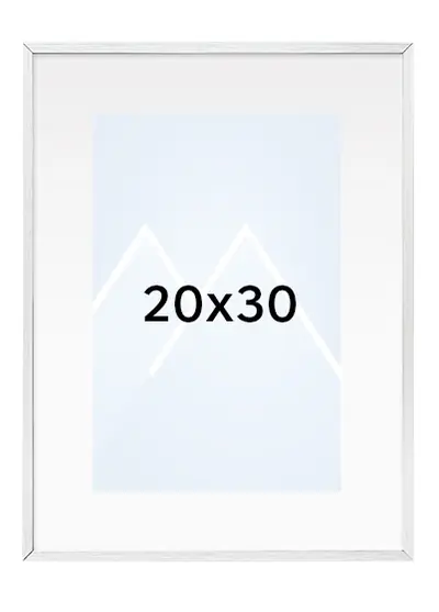 20x30