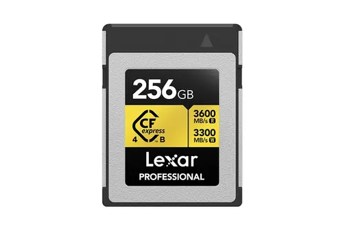 Lexar CFexpress Type B Pro Gold 256GB