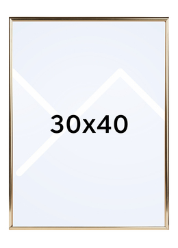 Walther Galeria Bilderamme - Gull, 30x40