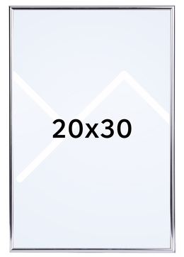 Focus Can-Can Bilderamme - Sølv, 20x30