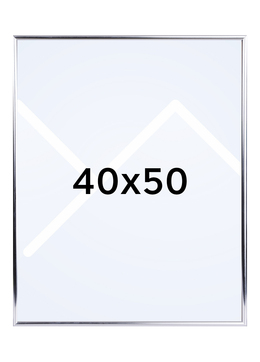 Walther Galeria Bilderamme - Sølv, 40x50