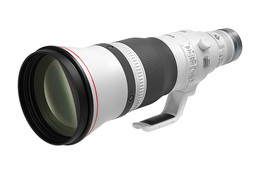 Canon RF 600mm f/4L IS USM