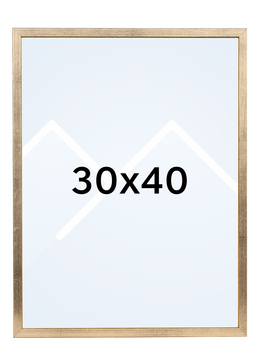 Goldbuch Skandi Bilderamme - Gull, 30x40