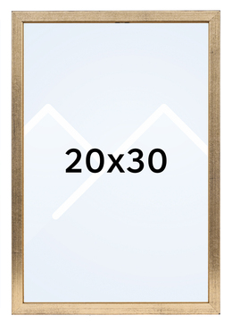 Goldbuch Skandi Bilderamme - Gull, 20x30