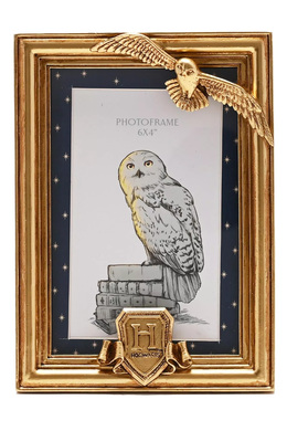Harry Potter Hedwig Bilderamme - Gull, 10x15