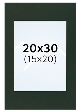 Interart Passepartout - Salviegrønn, 15x20, 20x30