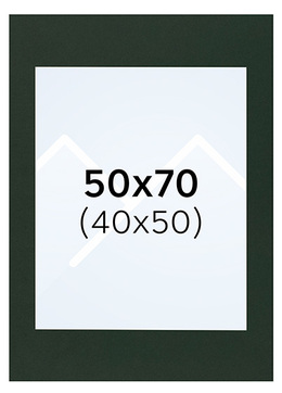 Interart Passepartout - Salviegrønn, 40x50, 50x70