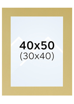 Interart Passepartout - Gull, 30x40, 40x50