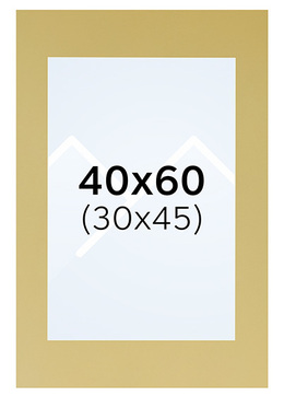 Interart Passepartout - Gull, 30x45, 40x60