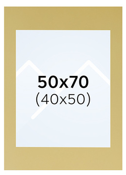 Interart Passepartout - Gull, 40x50, 50x70