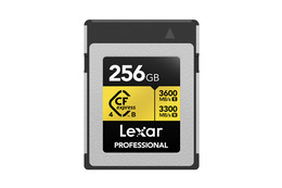 Lexar CFexpress Type B Pro Gold 256GB