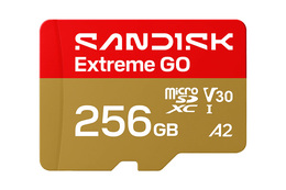 SANDISK MicroSDXC Extreme GO 240MB/s 256GB