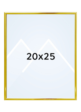 Focus Lily Bilderamme. - Gull, 20x25