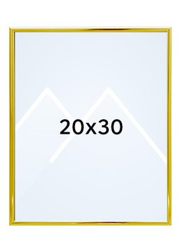 Focus Lily Bilderamme. - Gull, 20x30