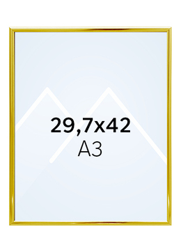 Focus Lily Bilderamme. - Gull, 29.7x42 (A3)