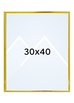 Focus Lily Bilderamme. - Gull, 30x40