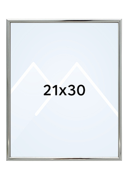 Focus Lily Bilderamme. - Sølv, 21x30